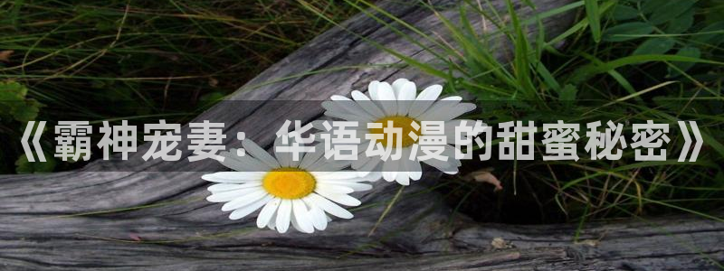 女神漫画图片：《霸神宠妻：华语动漫的甜蜜秘密》